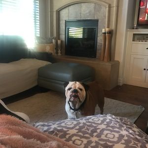 Meet your Posher, Deana